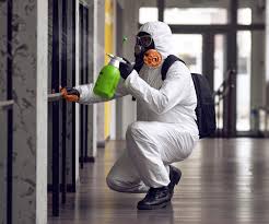 Mold Remediation for Rental Properties in Arlington, OH